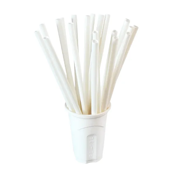 Bio based & Disposable Straws